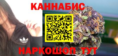 гашик Будённовск