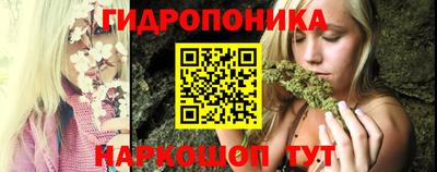 гашик Будённовск