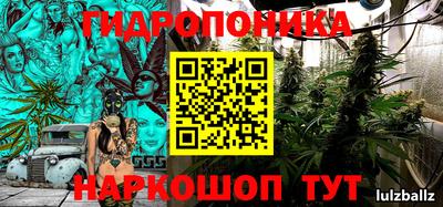 гашик Будённовск