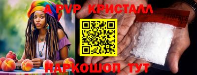 гашик Будённовск