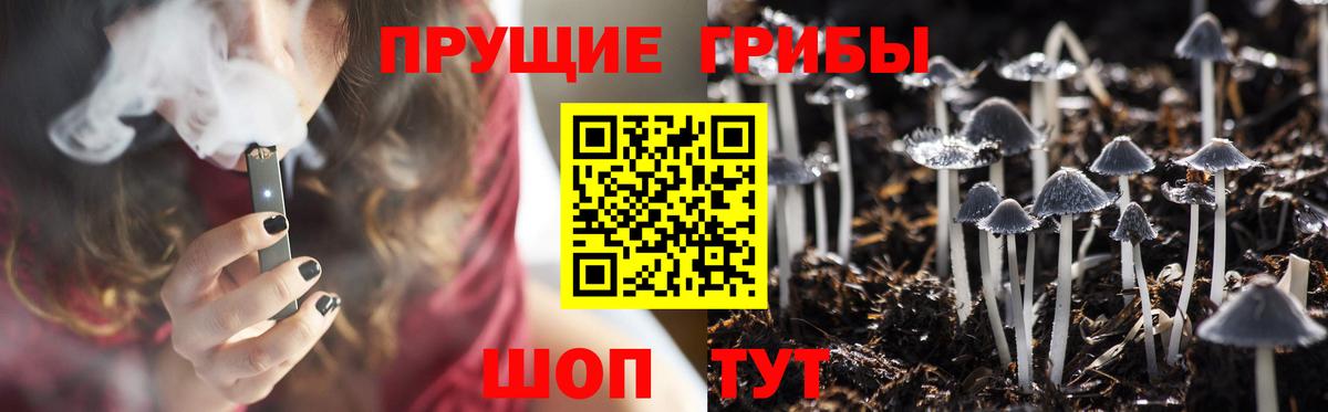 Псилоцибиновые грибы ЛСД Краснотурьинск